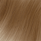 9H/9.35 Very Light Hazelnut Blonde